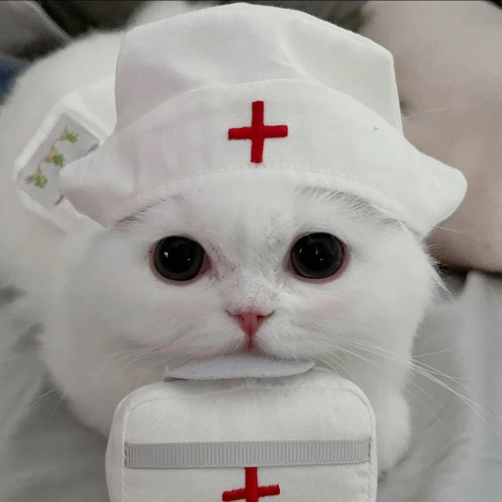 Meow Brother API Annual Subscription Membership Service