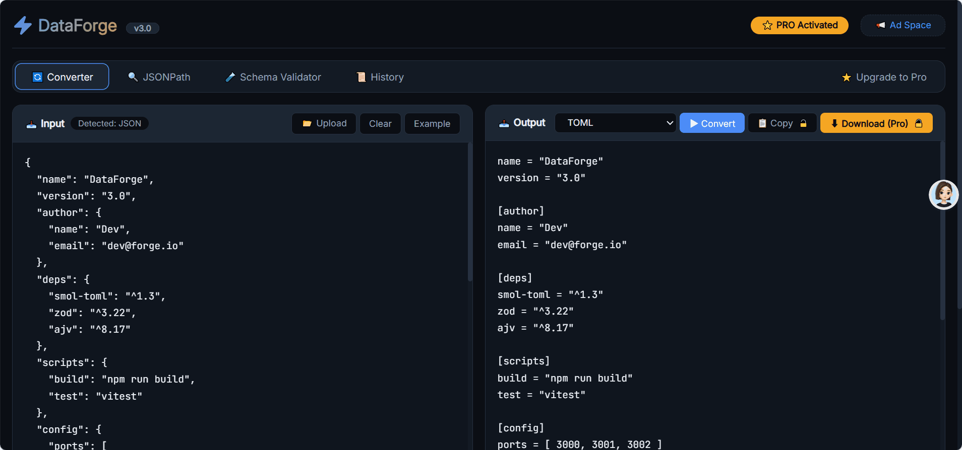 DataForge Pro