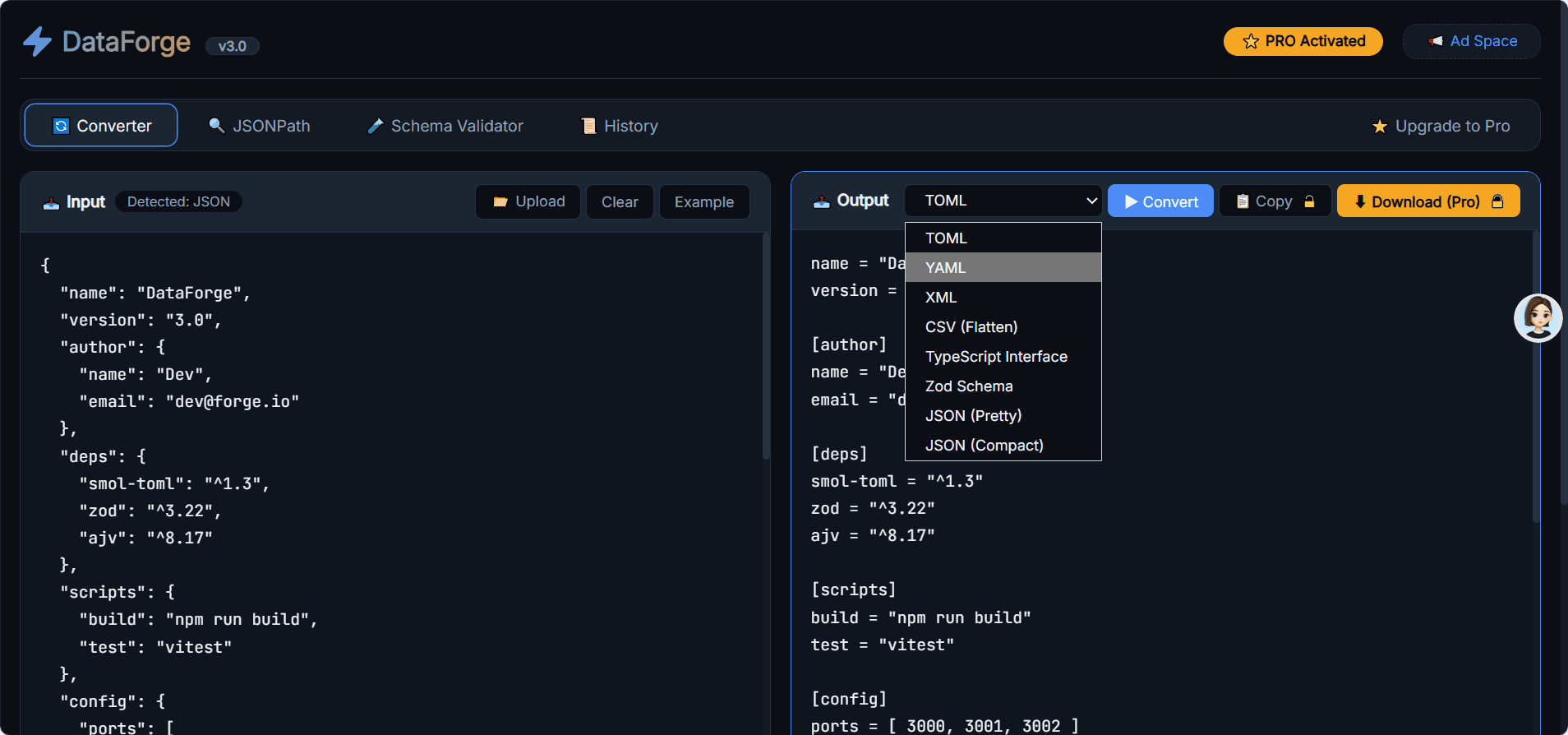 DataForge Pro