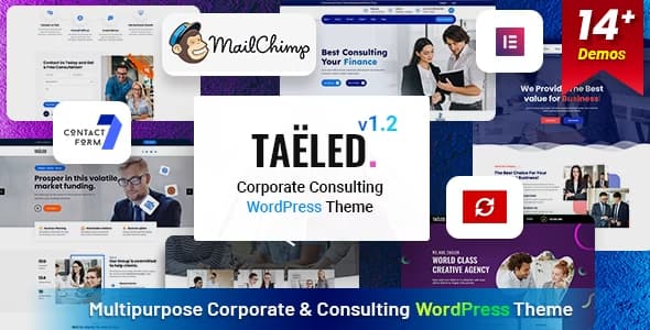 TAELED – Business Consulting WordPress Theme