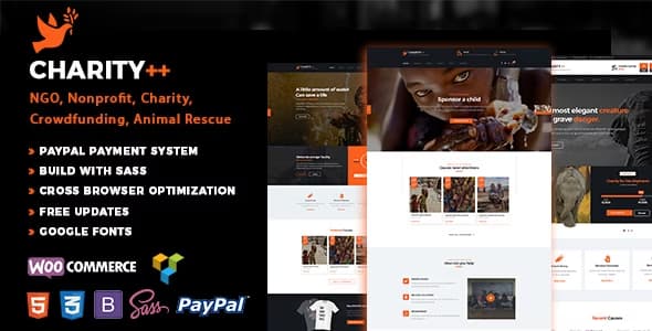 Charity - Nonprofit Charity WordPress Theme