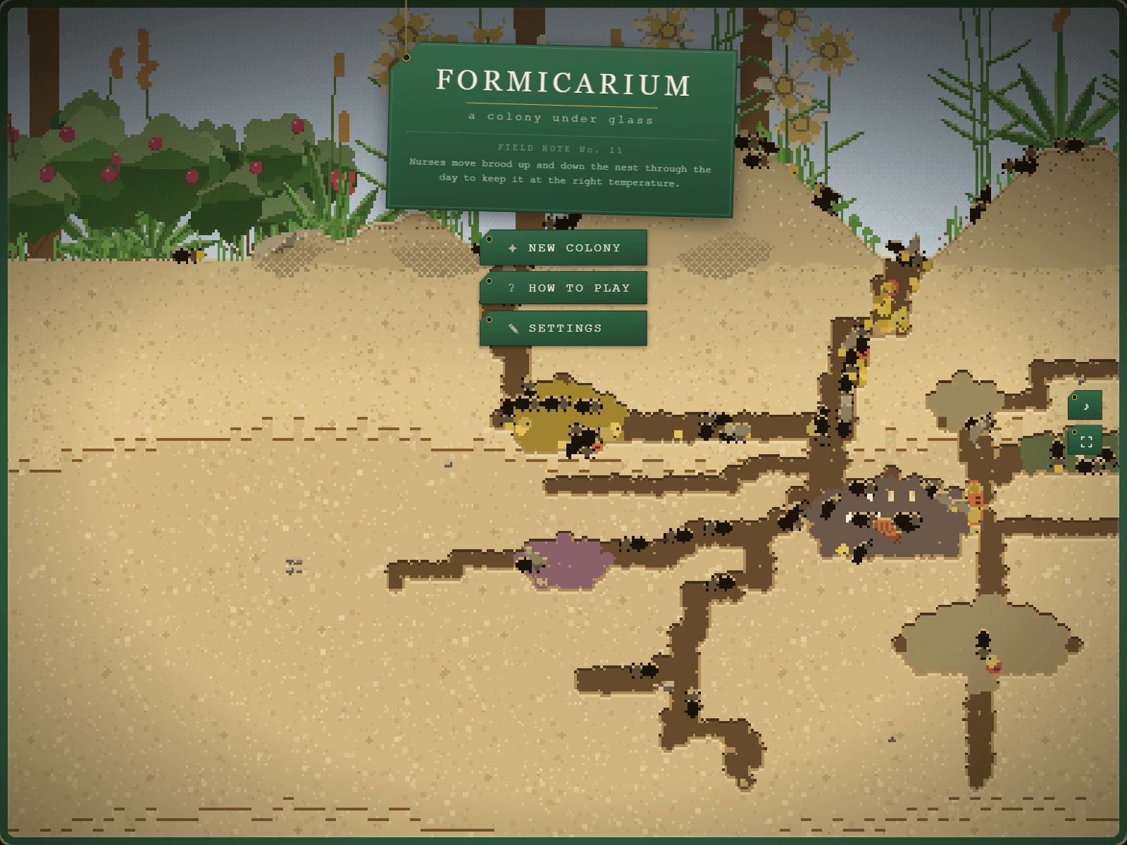 Formicarium