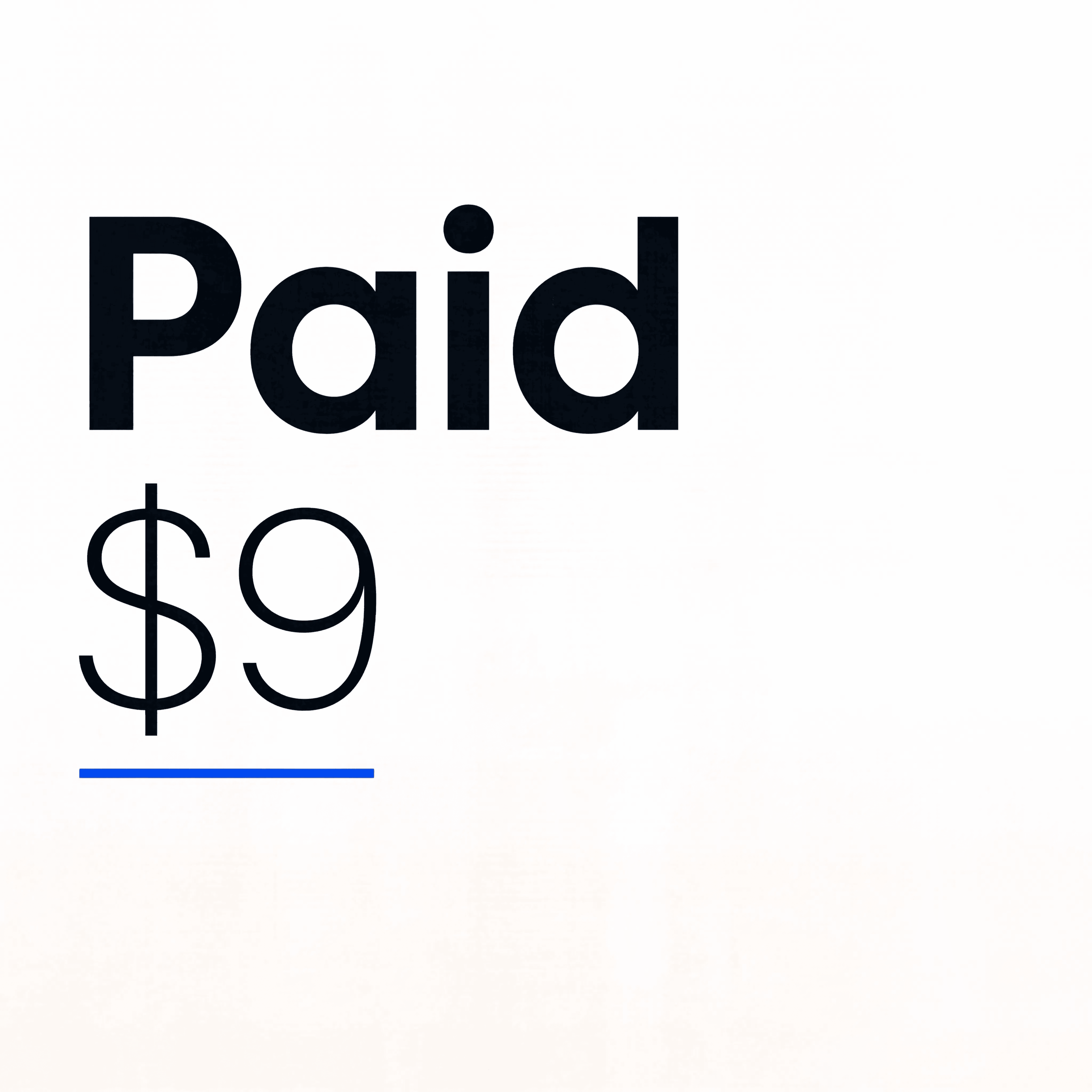 Paid Plan