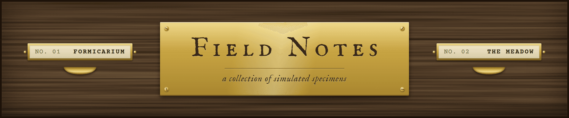 Fieldnotessim banner