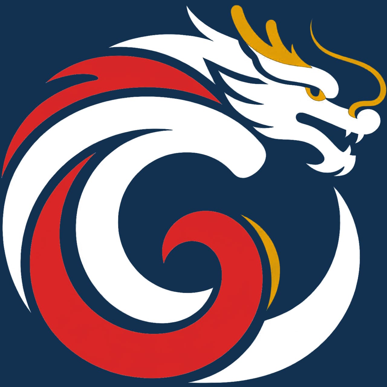 ChinaCompany logo